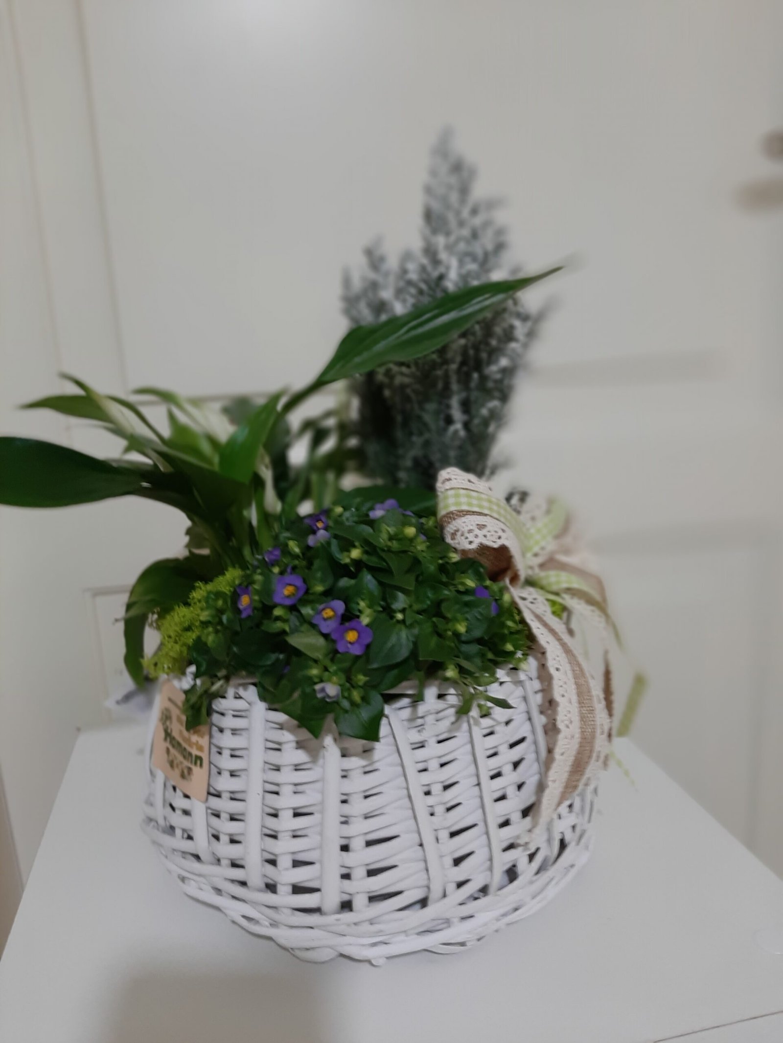 20210128_095805-scaled-1.jpg aranjament flori naturale - imagine 1