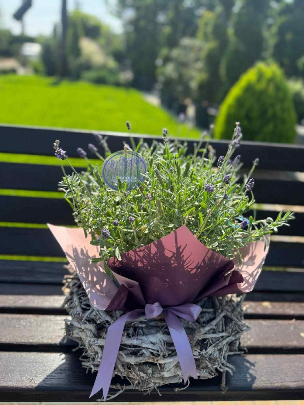 COS-CU-LAVANDA-e1758696329440.jpg COS CU LAVANDA NATURALA - imagine 1