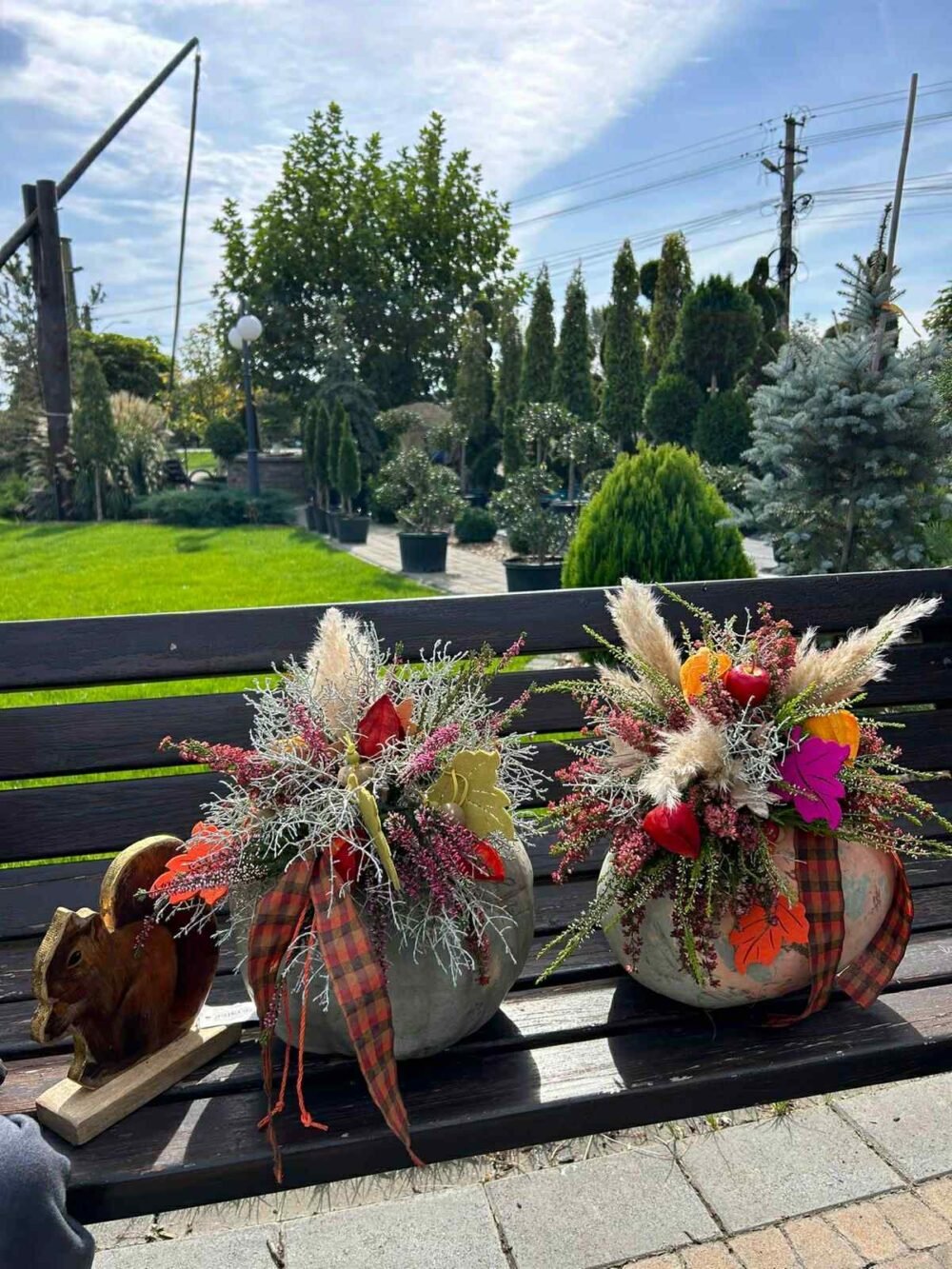 DOVLECI-ARANJMENT-e1759213099488.jpg ARANJAMENT TOAMANA DOVLECEI - imagine 1