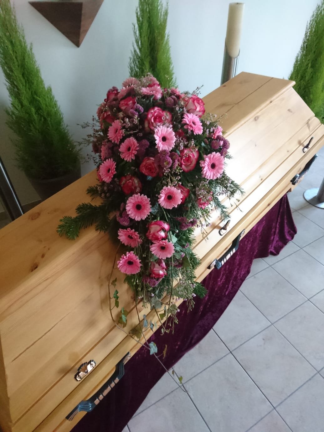 IMG-20200303-WA0071.jpg Jerbe - imagine 1