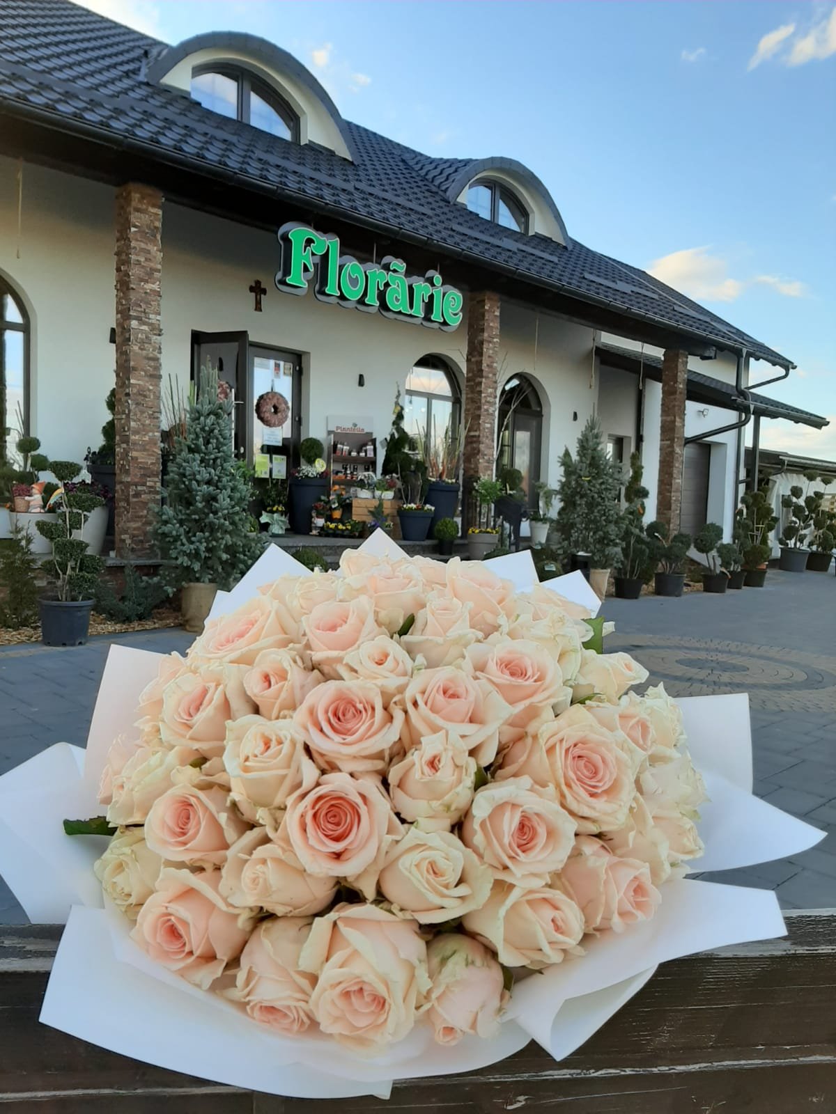 IMG-20220131-WA0121.jpg BUCHET TRANDAFIRI - imagine 1