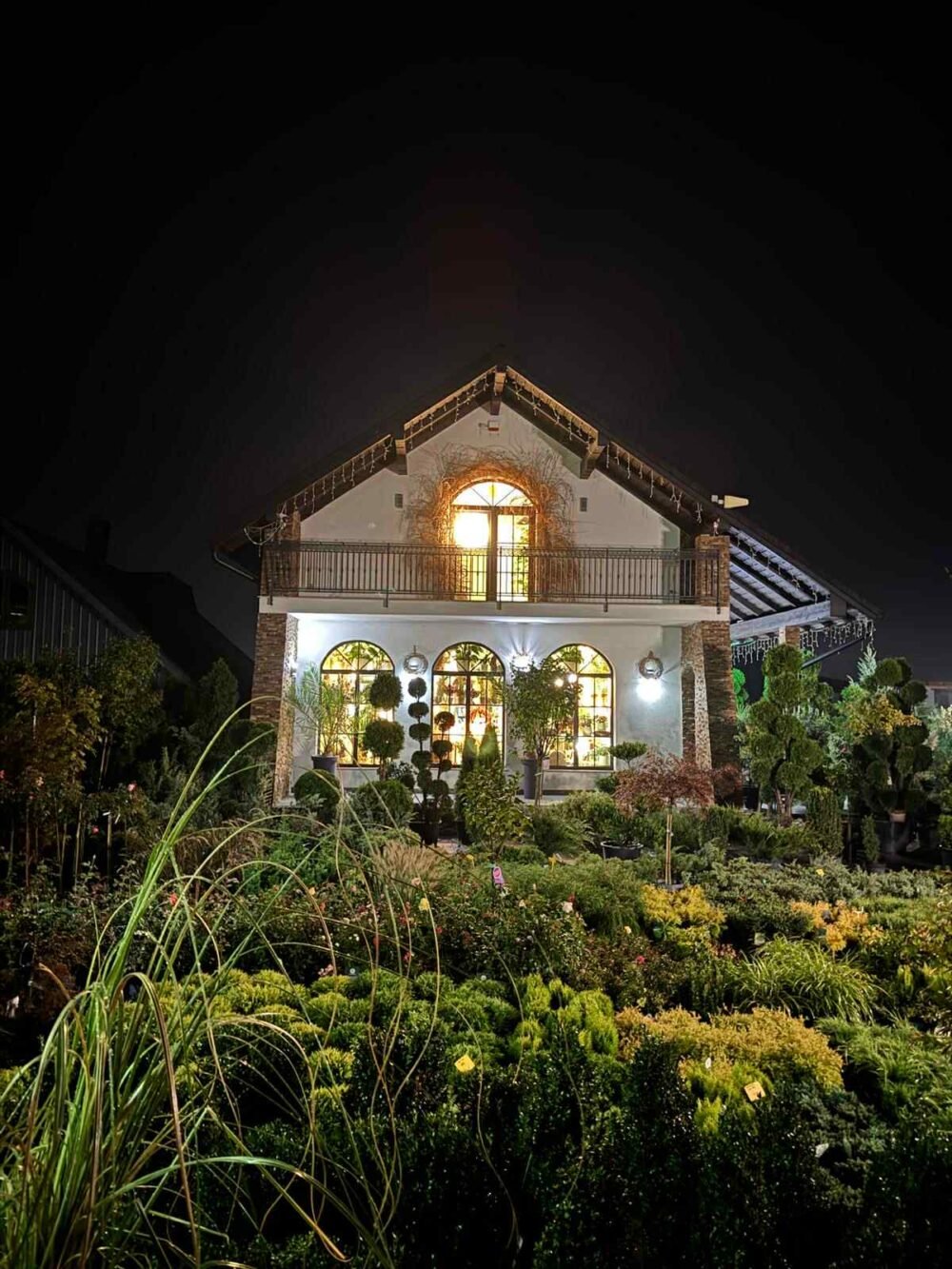 c840608b-d31b-4176-a2f0-279af63a9055-e1759988167734.jpg PLANTE ORNAMENTALE - imagine 1